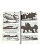 De Duitse Vliegtuigen 1933-1945