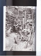 Austro-Hungarian and German Trench Artillery II: History and Tactics