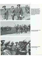 Germany's Brothers in Arms along the Eastfront 1941-1945