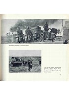 Duitse Panzergrenadiere 1939-1945 - Een beelddocument in foto's