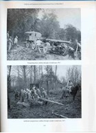 Uniforms & Equipment of the French Armed Forces in World War I - A Study in Period Photographs