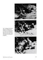 The Lions of Carentan - The Fallschirmjäger Regiment 6 1943-45