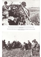 Like a Cliff in the Sea - War History of the 3rd SS Panzerdivision "Totenkopf" - Photo book