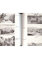 European Volunteers - The 5th SS. Panzerdivision "Wiking"