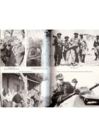 European Volunteers - The 5th SS. Panzerdivision "Wiking"