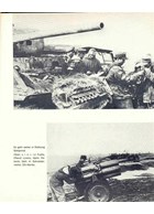 Panzer-Grenadier-Divisie Grossdeutschland en haar Zusterverbanden