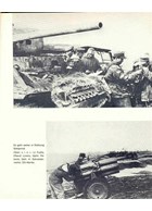 Panzer-Grenadier-Division Grossdeutschland and its Sister-Units