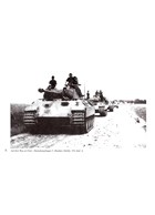 German Tanks in Action 1939-1945 (P)