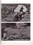 The 1st Fallschirmjäger Division in World War II - Volume One: Years of Attack