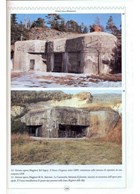 The Fortifications of the Western Alps