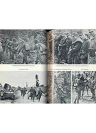 Battle under the Northern Lights - The History of the 6th SS-Mountain-Division North