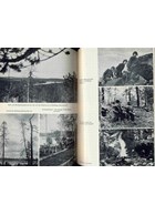 Battle under the Northern Lights - The History of the 6th SS-Mountain-Division North