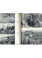 Battle under the Northern Lights - The History of the 6th SS-Mountain-Division North