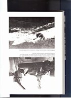 Torpedo Riders - Attack Swimmers - Bombboat Pilots