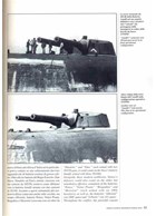 Gli Artigli del Leon - The "Amalfi" Battery and Venice's coastal Fortifications during World War Tw
