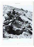 Waffen-SS in the West - Holland, Belgium, France 1940