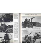 The German light and medium anti-aircraft artillery 1906-1945