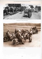 The 1st Fallschirmjäger Division in World War II - Volume Two: Years of Retreat