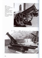 Austro-Hungarian and German Trench Artillery