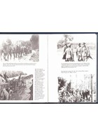 The 81st Infantry Division