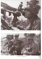 Mountain Troops in Pictures - 6th SS Gebirgsdivision Nord 1940-1945