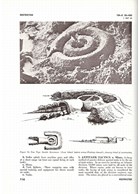 Handbook on Japanese Military Forces - 1944 ORIGINAL!!