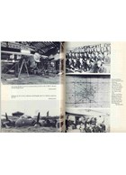 History of the German Night Fighters 1917-1945