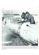 JG 54 - Jagdgeschwader 54 Grünherz