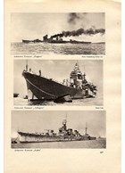 The Japanese Navy