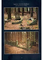 Verdun - De verborgen zijde