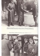 Eindstrijd tussen Moezel en Inn - XIII. SS-Armeekorps