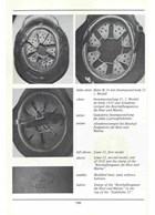 The History of the German Steel Helmet from 1915 to 1945