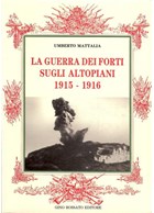 De Oorlog van de Forten op de Hoogvlaktes 1915-1916