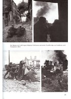 The 1st SS-Panzer-Division Leibstandarte Adolf Hitler