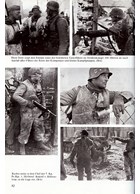 The 1st SS-Panzer-Division Leibstandarte Adolf Hitler