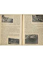 Het Württembergse Veldartillerie-Regiment Nr. 238 in de Eerste Wereldoorlog