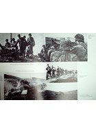The Traces are Gone - Photobook of the 5th SS-Panzerregiment 'Wiking'