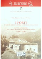 De Forten van Monte Ricco, Batteria Castello en Col Vaccher