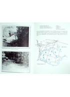 The 10th SS-Panzer-Division 'Frundsberg'