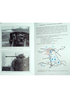 The 10th SS-Panzer-Division 'Frundsberg'