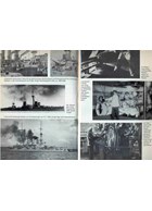 Lineship Schleswig-Holstein