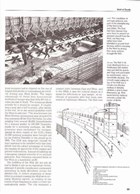 The Rise and Fall of the Berlin Wall