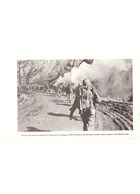 The 85th Infantry Division in World War II