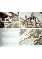 Tiger I en Sturmtiger in Detail