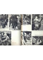 The 205th Infantry-Division