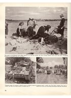 The Third Armored Division - Spearhead in the West 1941-45