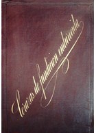 Chilled Cast Iron Armour And Minimum-port Carriages: The Gruson System