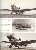 Curtiss P-40D-N Warhawk in USAAF - French and Foreign Service