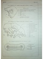 Permanent Fortification - Second Part: Land and Coastal Fortifications - Atlas with 15 Plates - 1922