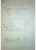 Permanent Fortification - Second Part: Land and Coastal Fortifications - Atlas with 15 Plates - 1922